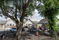Pigeon poo problem prompts grant request from playgroup