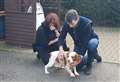 Stolen dog reunited with owners after six years