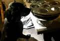 Drugs seized in raid