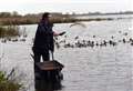 Swan feeds start at WWT Welney but lockdown could put them on hold