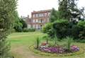 Discover dazzling autumn colours at town gardens
