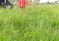 Fenland District Council issues warning to its grass cutting contractors following storm of complaints