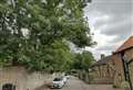 Application to chop down eight sycamore trees
