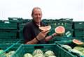 ‘Water’ crop – Fenland melon farm celebrating record harvest