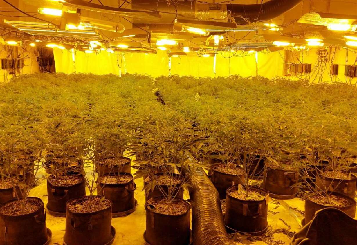 Two men remanded in prison after police bust cannabis factory
