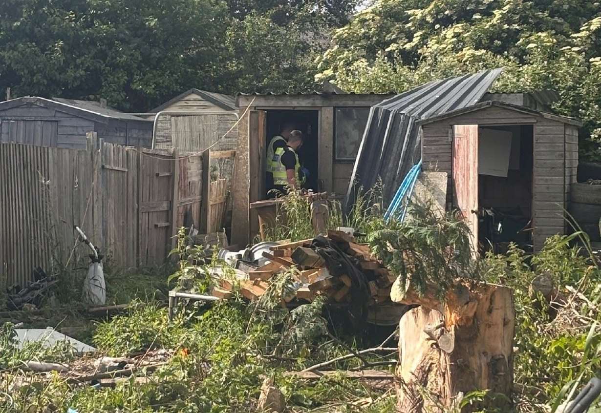 Drugs and weapons seized in police raids