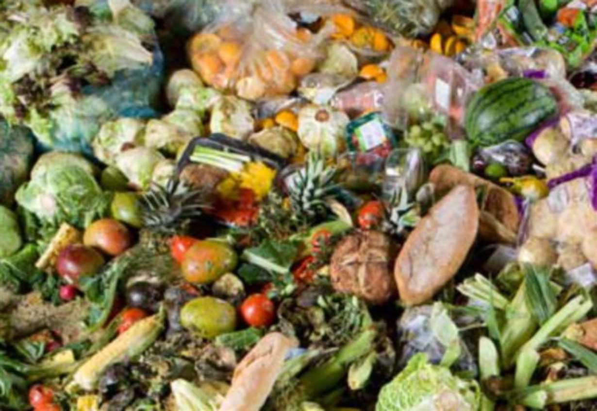 Weekly food collections will be rolled out next year