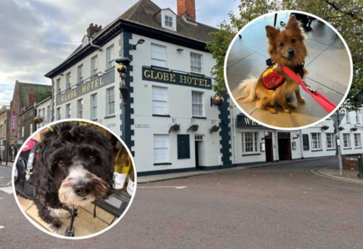 ‘Utter disbelief’: Discrimination claims as assistant dogs are not allowed into pub