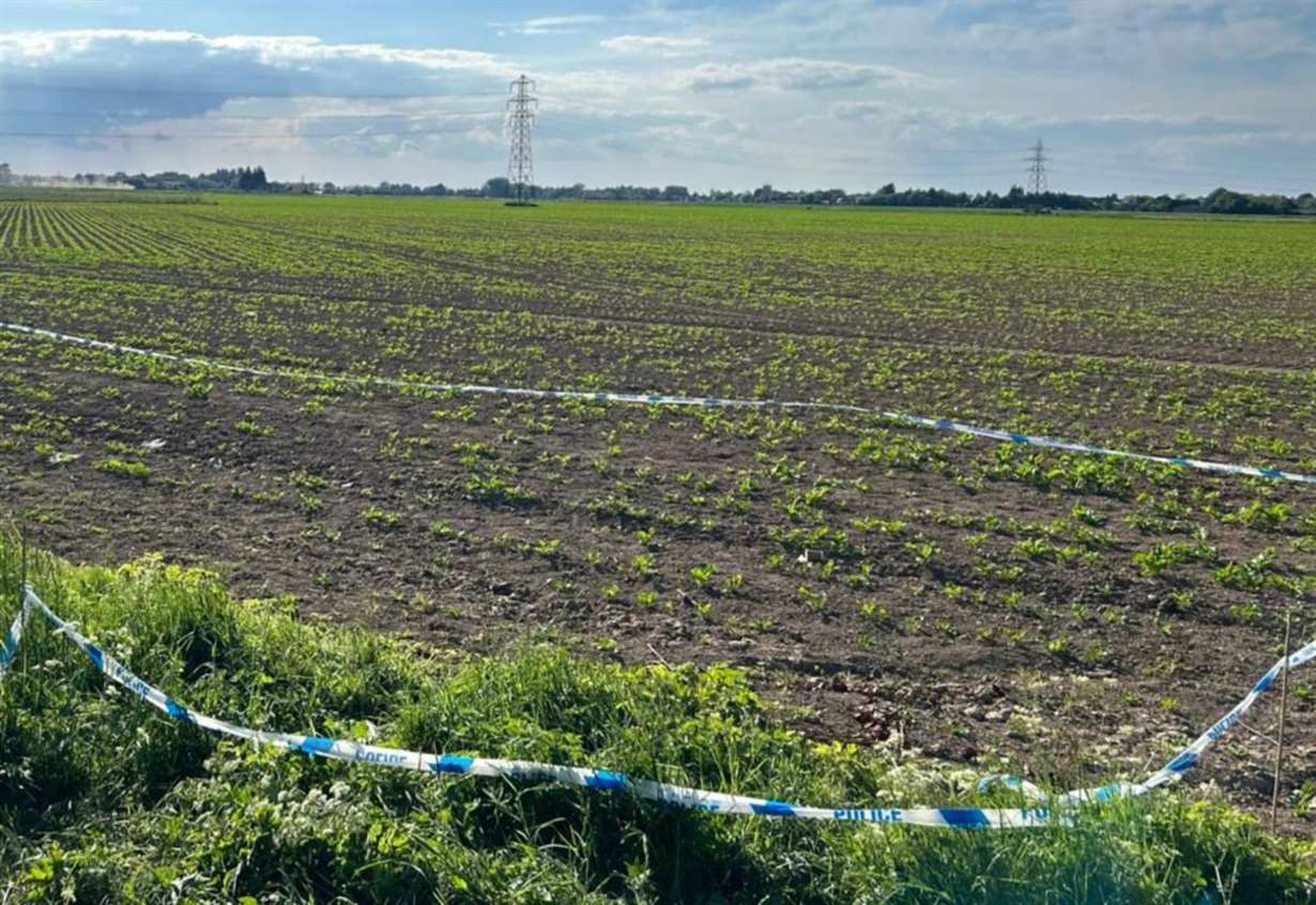 Investigation launched following discovery of human bones