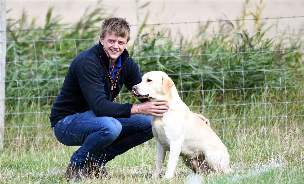 Gundog Scurry Event. (41597374)