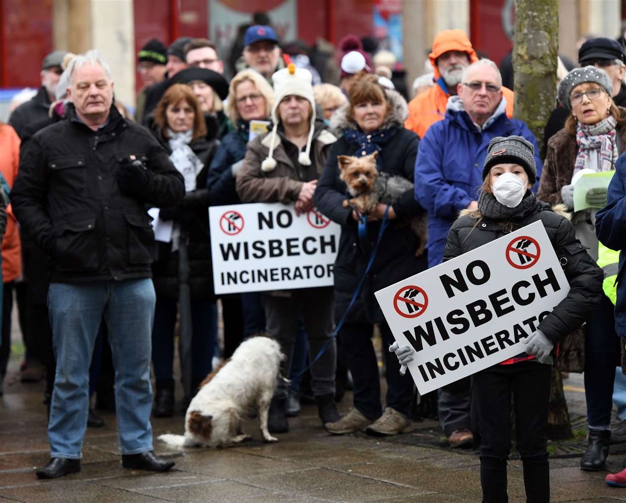 Protest against the Wisbech Incinerator. (29370033)
