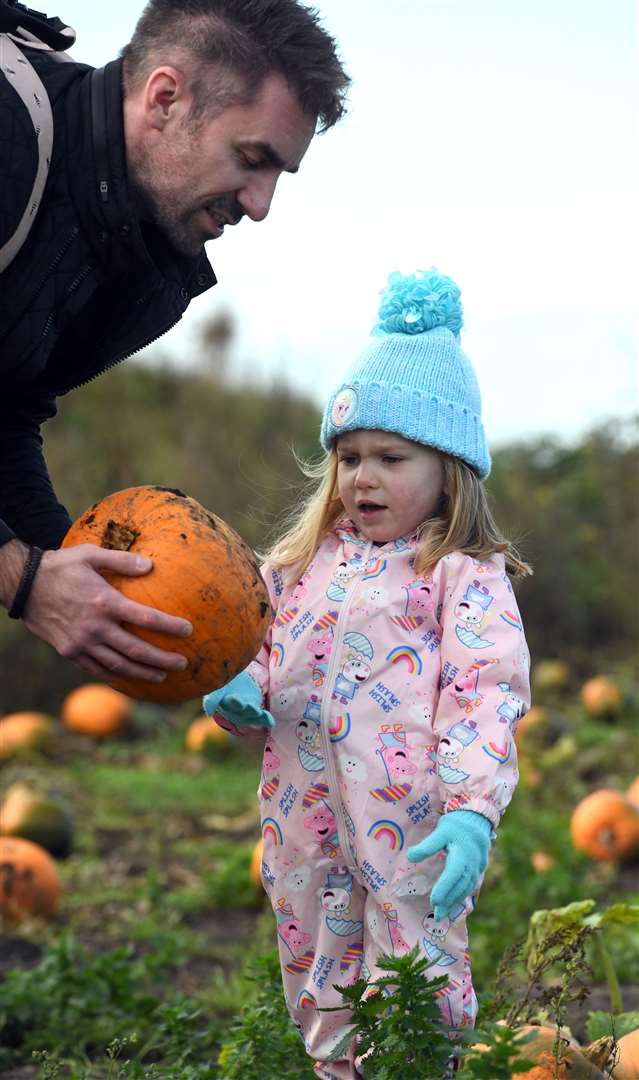 Skylark pumpkin carving and picking..Andy Stubbington and Florence Stubbington. (42846831)