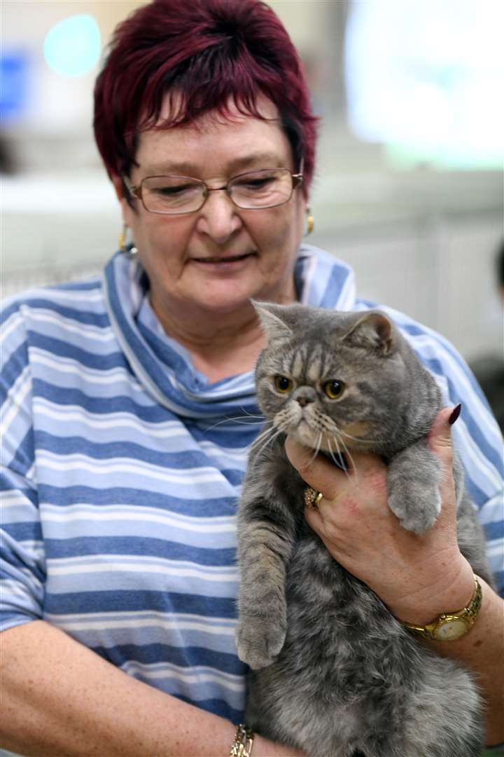 Exotic Cat Show at Tydd St Giles Community Centre..Sue Ward with Violet... (26567758)
