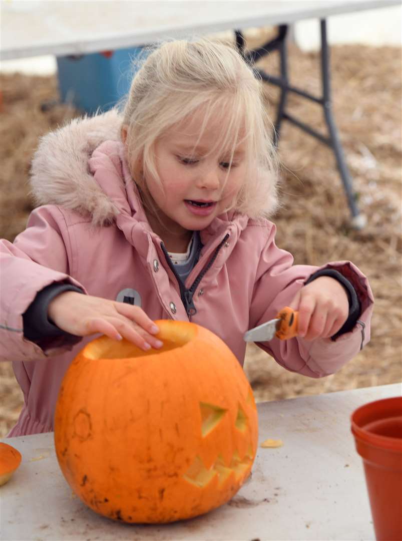 Skylark pumpkin carving and picking..Annabel Smith... (42846827)