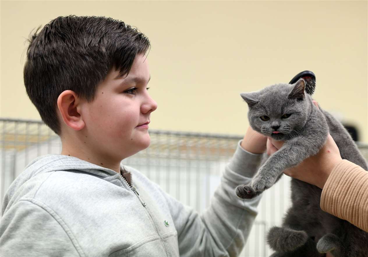 Exotic Cat Show at Tydd St Giles Community Centre..James Johnson with Tiana..... (26567759)