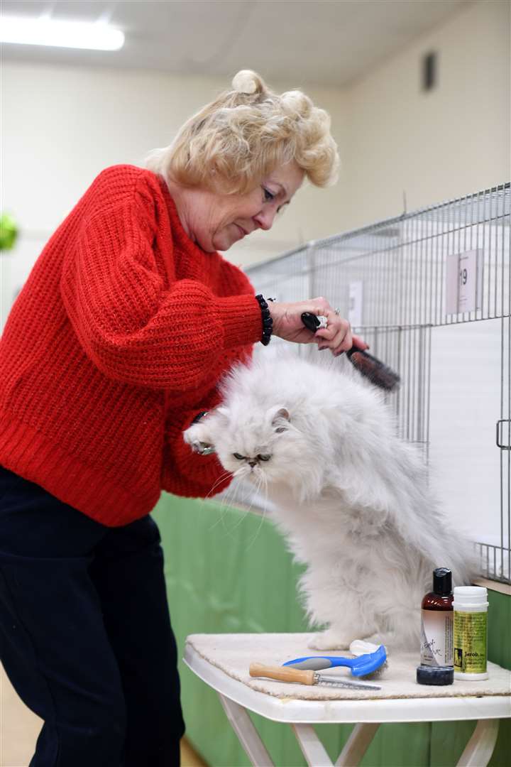 Exotic Cat Show at Tydd St Giles Community Centre..Janet Rouse with Dela-Rosia..... (26567826)