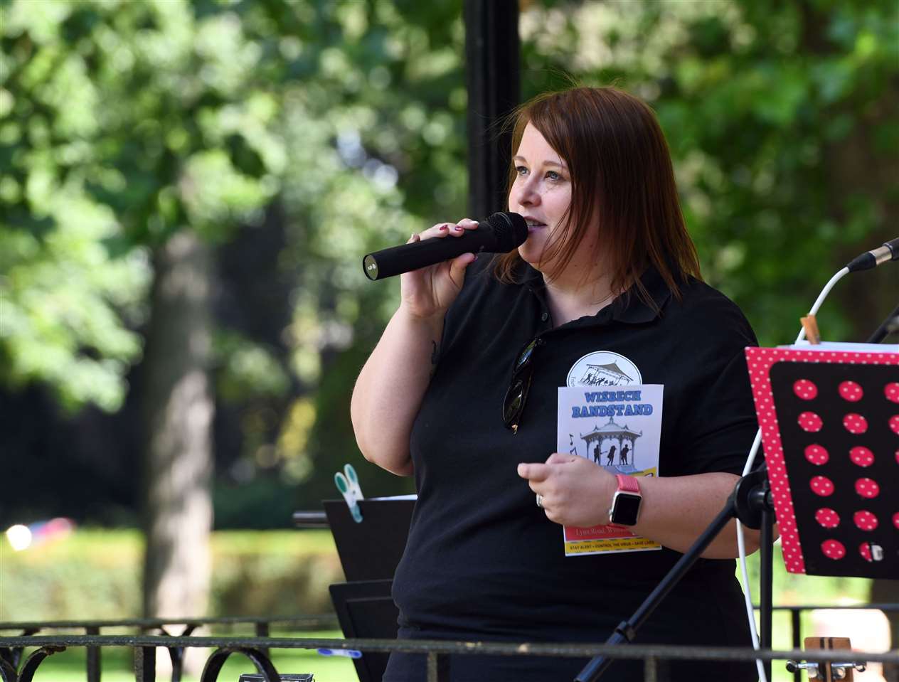 First live music of the year at Wisbech Bandstand. (39274574)