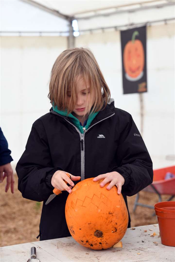 Skylark pumpkin carving and picking..Elliot Smith. (42846826)