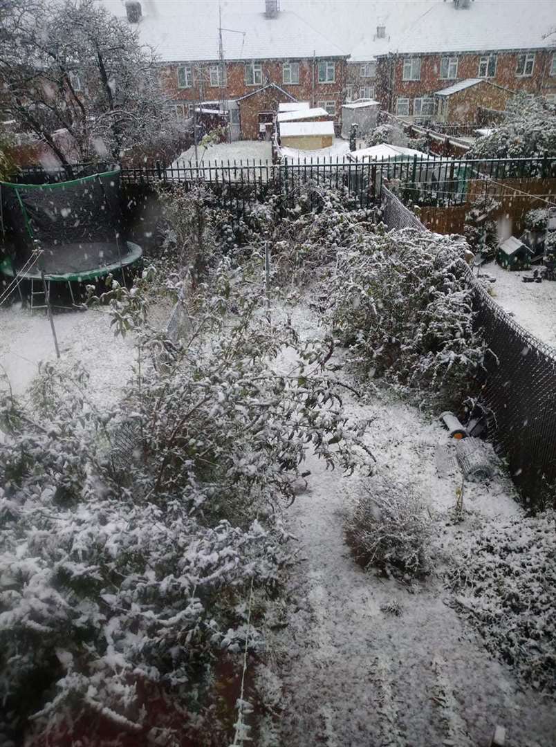 Lou Crane's garden in Wisbech (43409898)