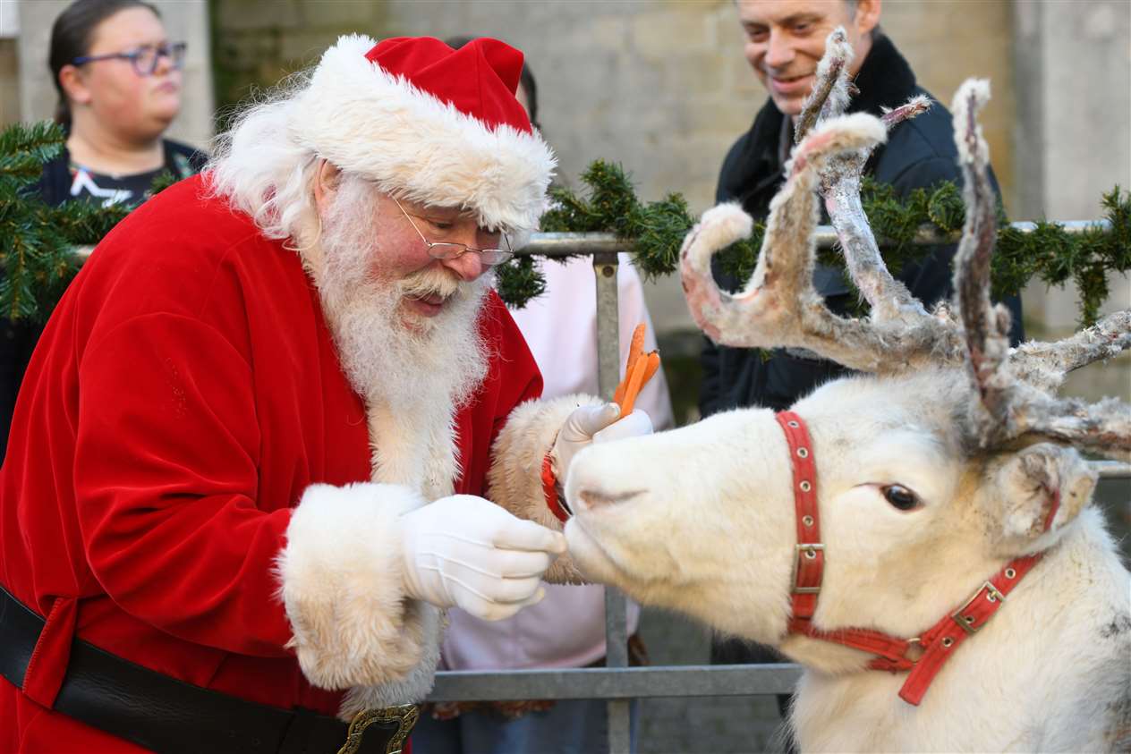 Wisbech Christmas Market. (23782411)