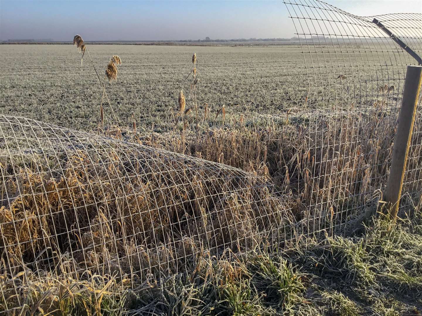 Manea otter fence has been repeatedly vandalised. (6909300)