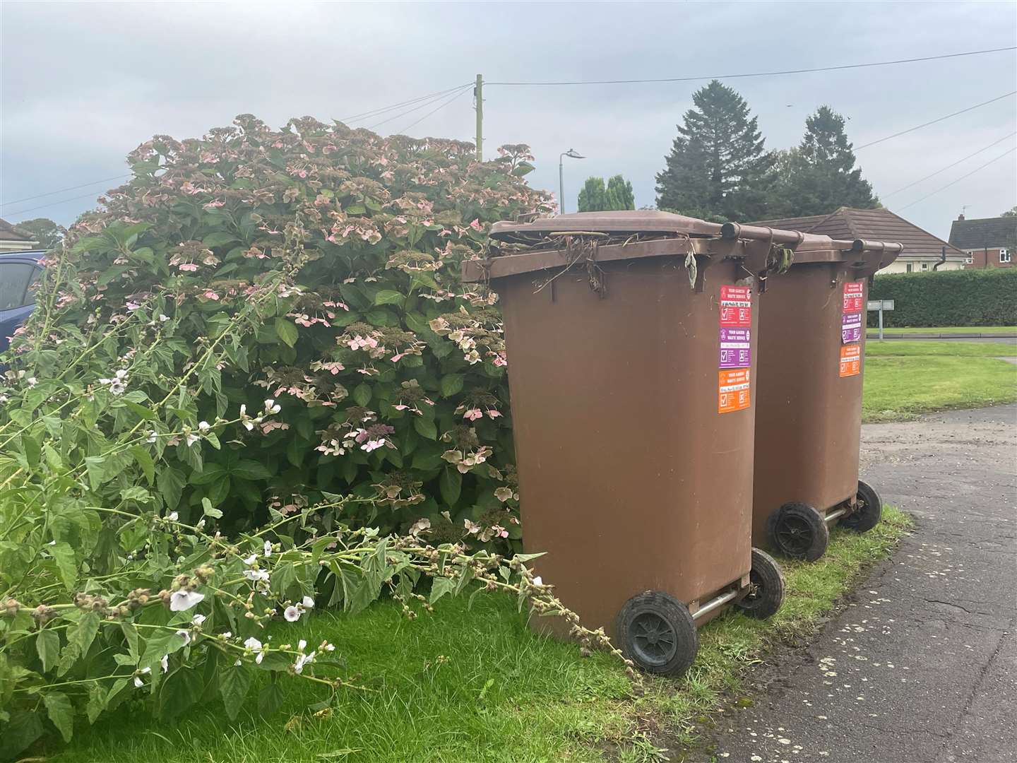 You can sign up now for Fenland’s brown bin waste collection service