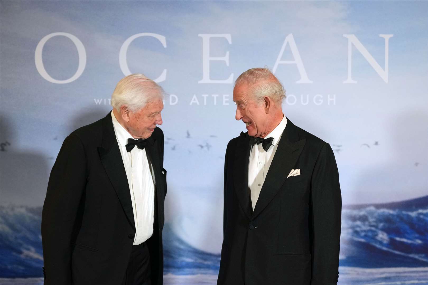 King Charles meets David Attenborough as he attends the premiere of Ocean with David Attenborough at the Southbank Centre in London on May 6 (Alistair Grant/PA)