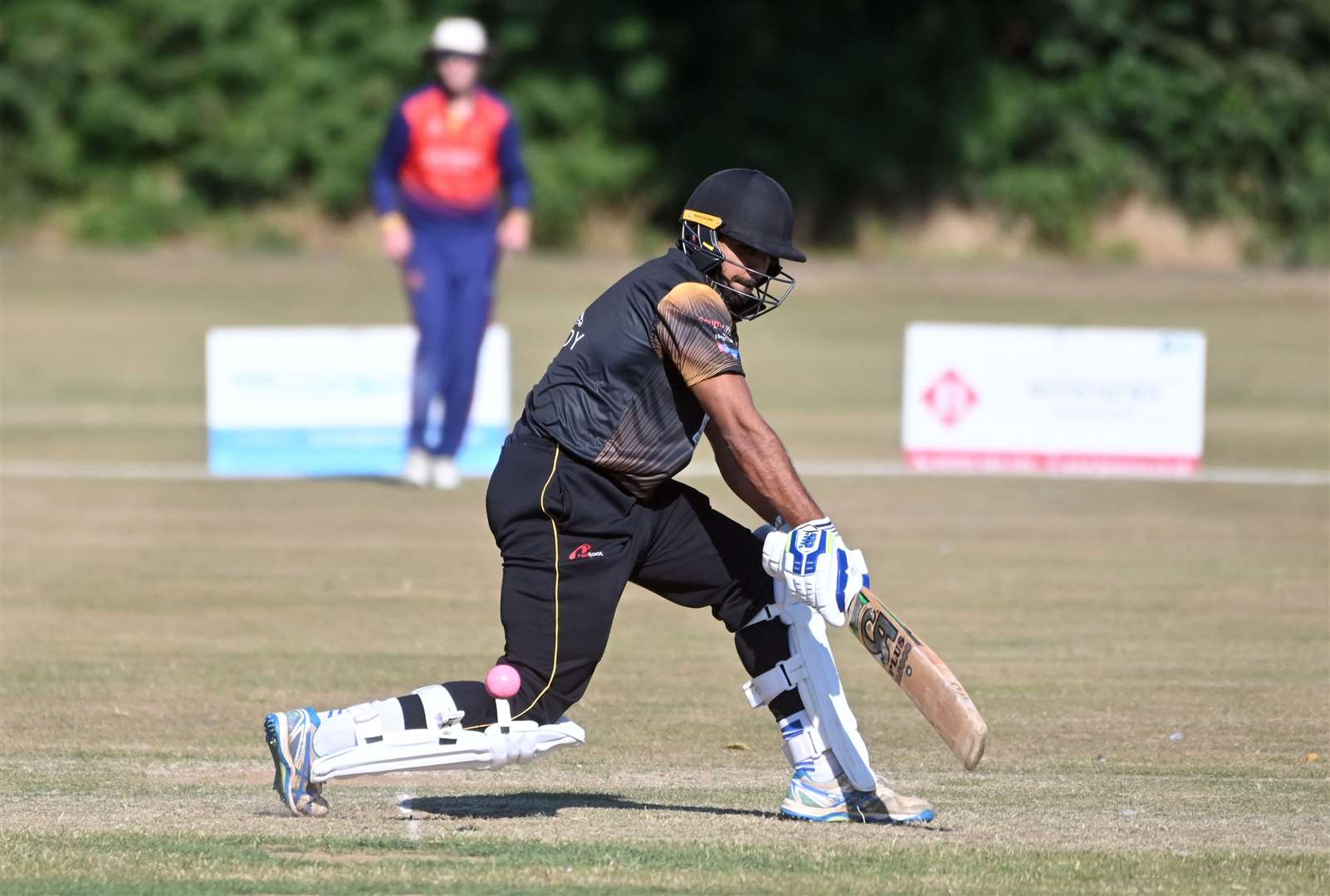 Wisbech cricket club hosting the Lashings cricket club. (58619599)