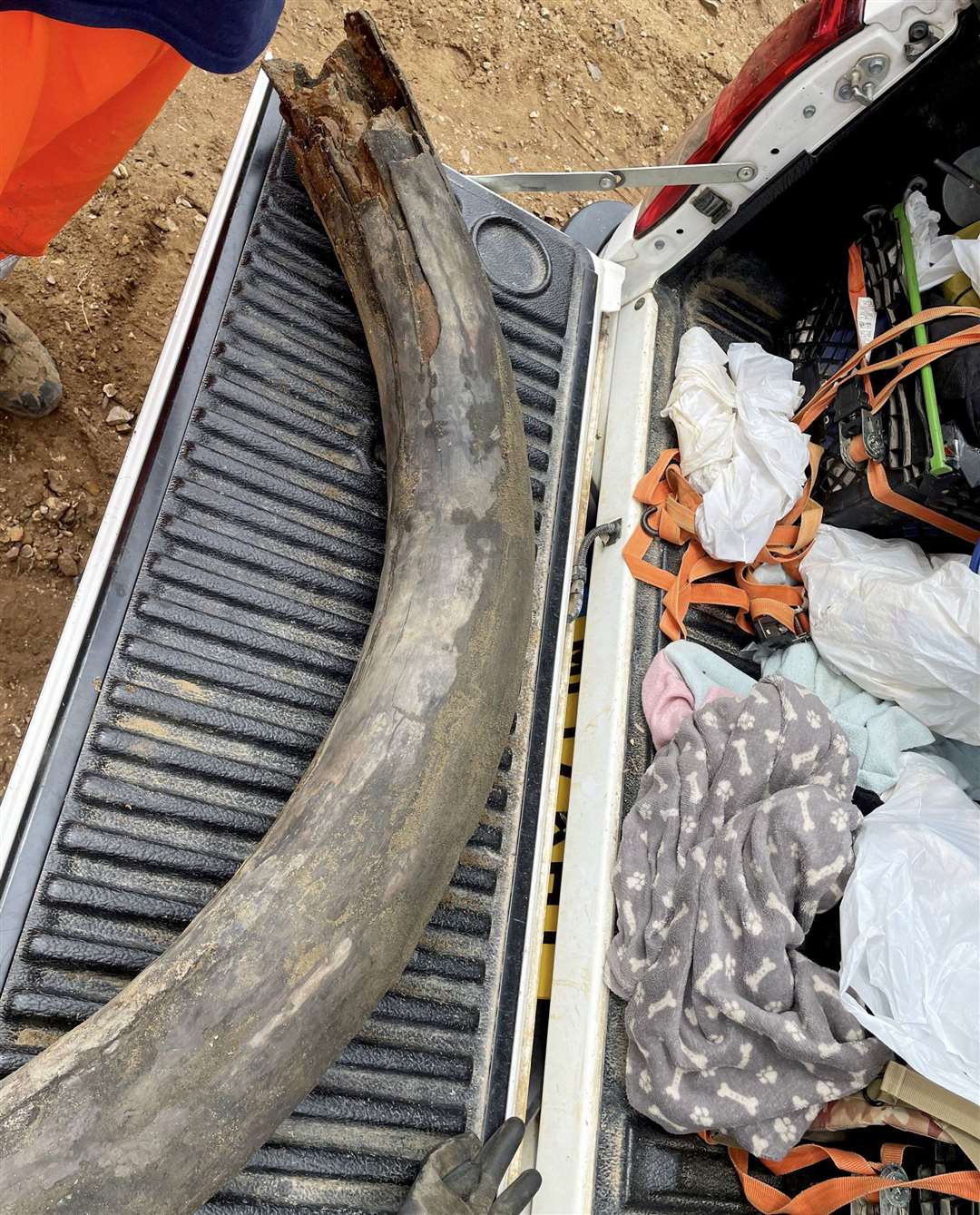 Veteran palaeontologist Jamie Jordan is celebrating a mammoth discover after finding a four-foot-long tusk in a quarry. Photos: SWNS.