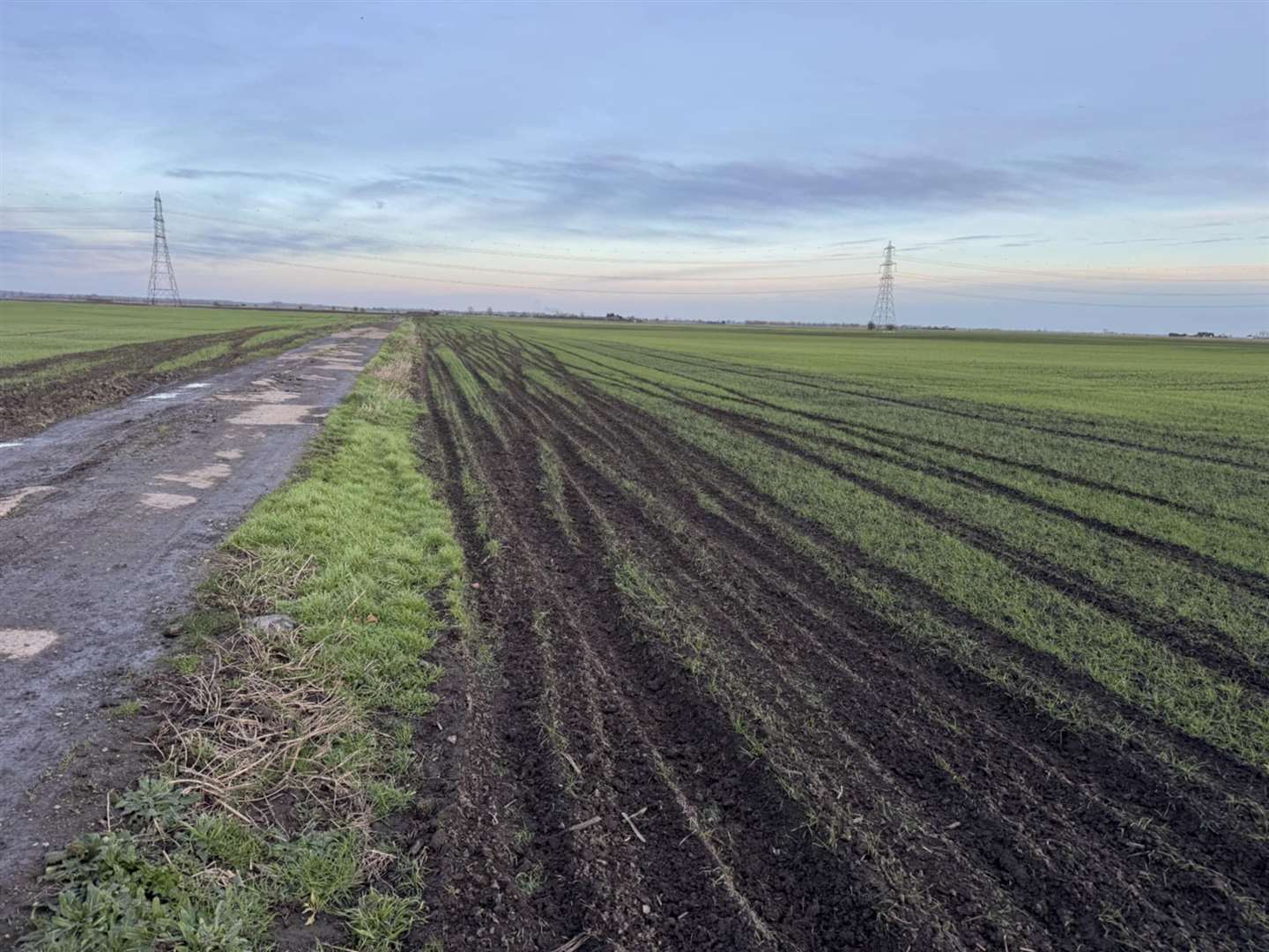 Farmers have been left counting the cost of the damage caused by the hare coursers