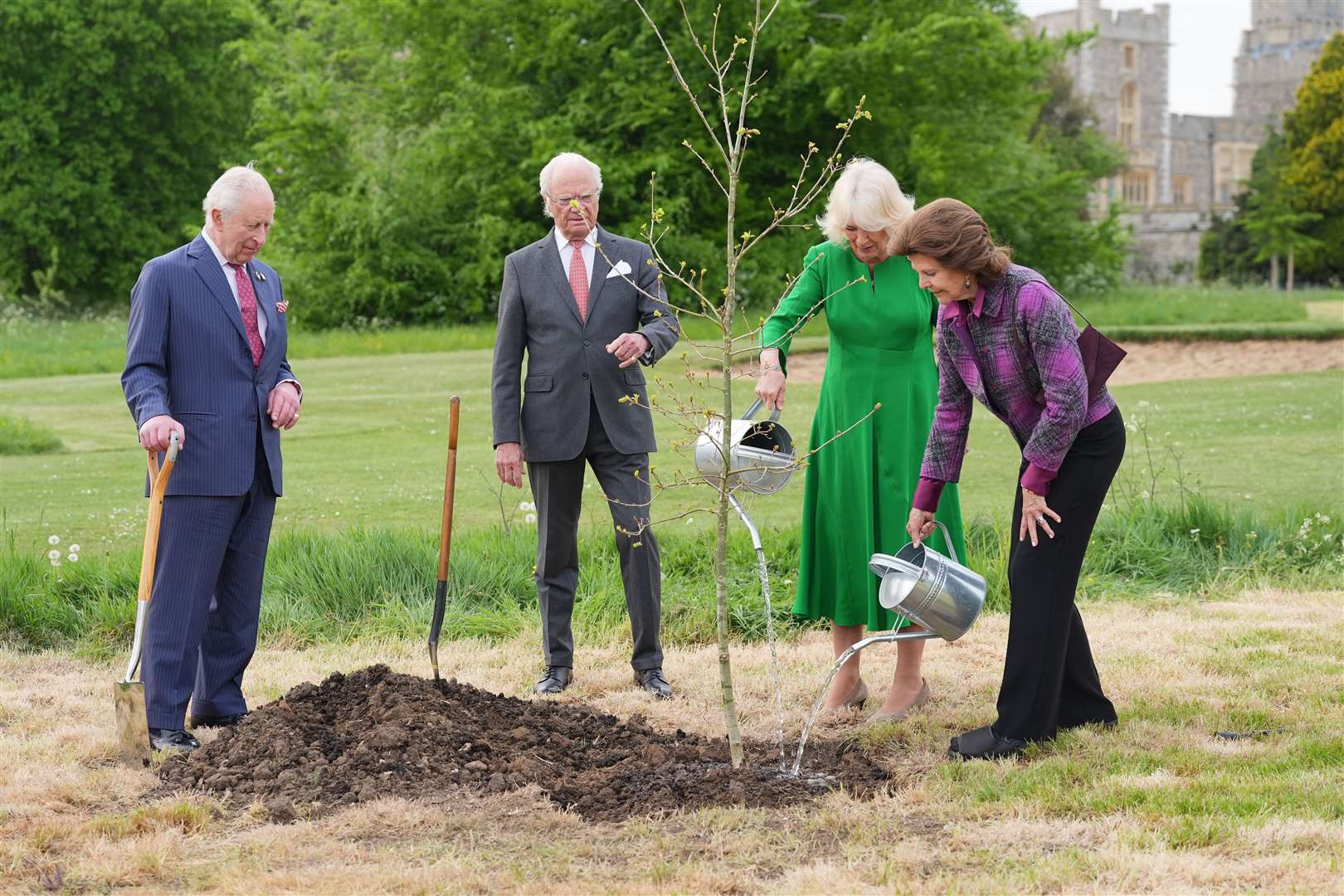 The King and Queen were joined by King Carl XVI Gustaf and Queen Silvia of Sweden, to plant a Swedish oak (Quercus robur) tree in the Home Park of Windsor Castle (Yui Mok/PA)