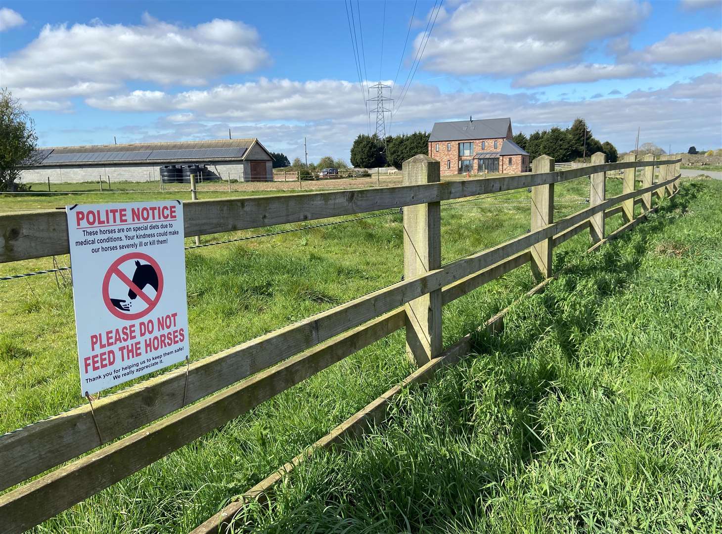 'Do not feed the horses' in Walton Highway