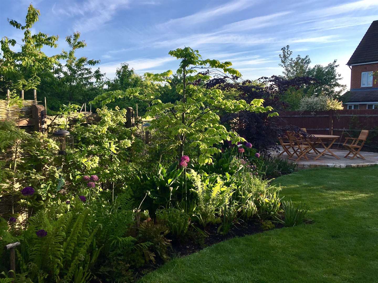 Open Gardens in Cambridgeshire 2022: Greenhaze lane, Cambourne (56821700)