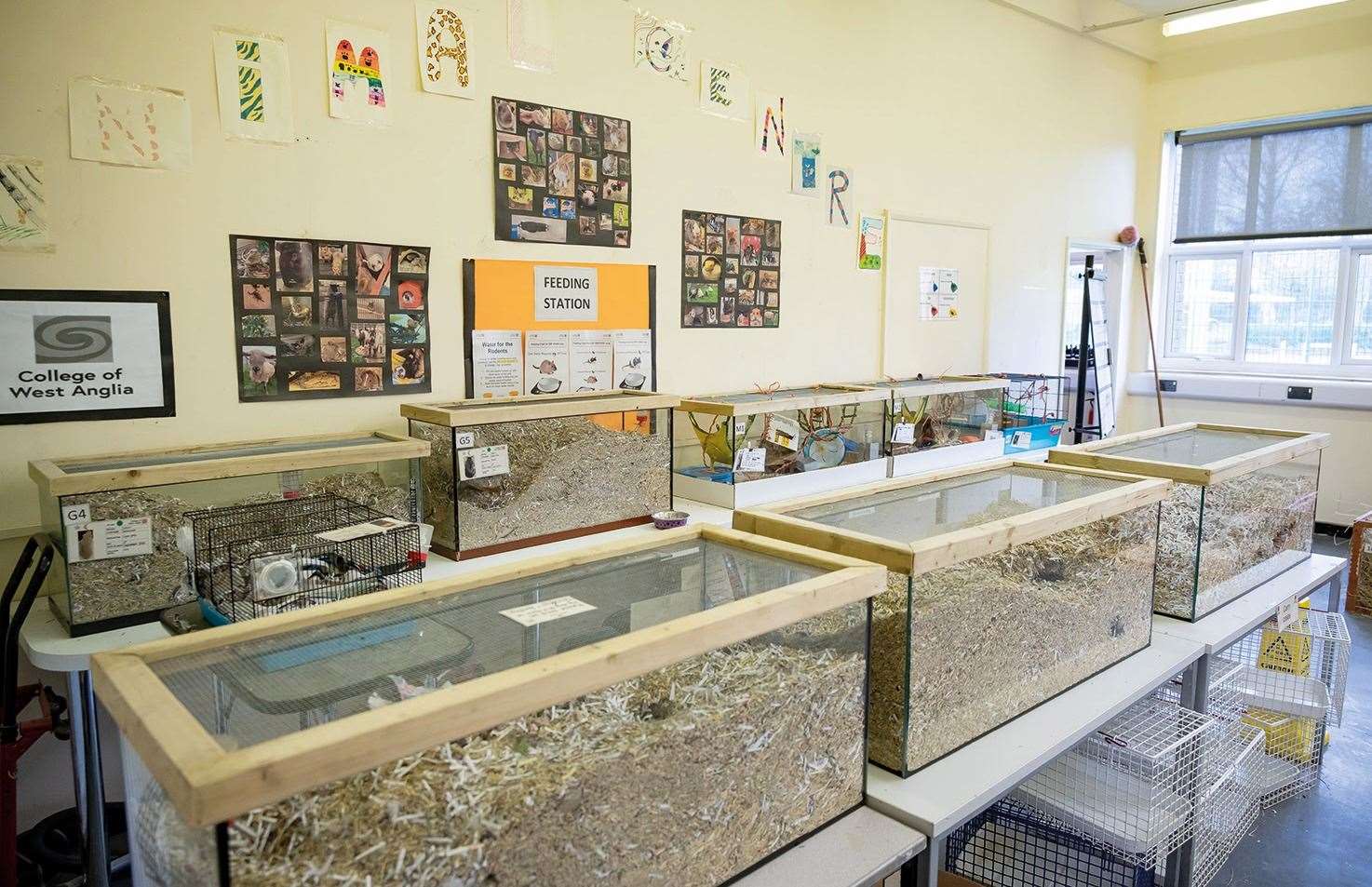 CWA Wisbech Campus facilities