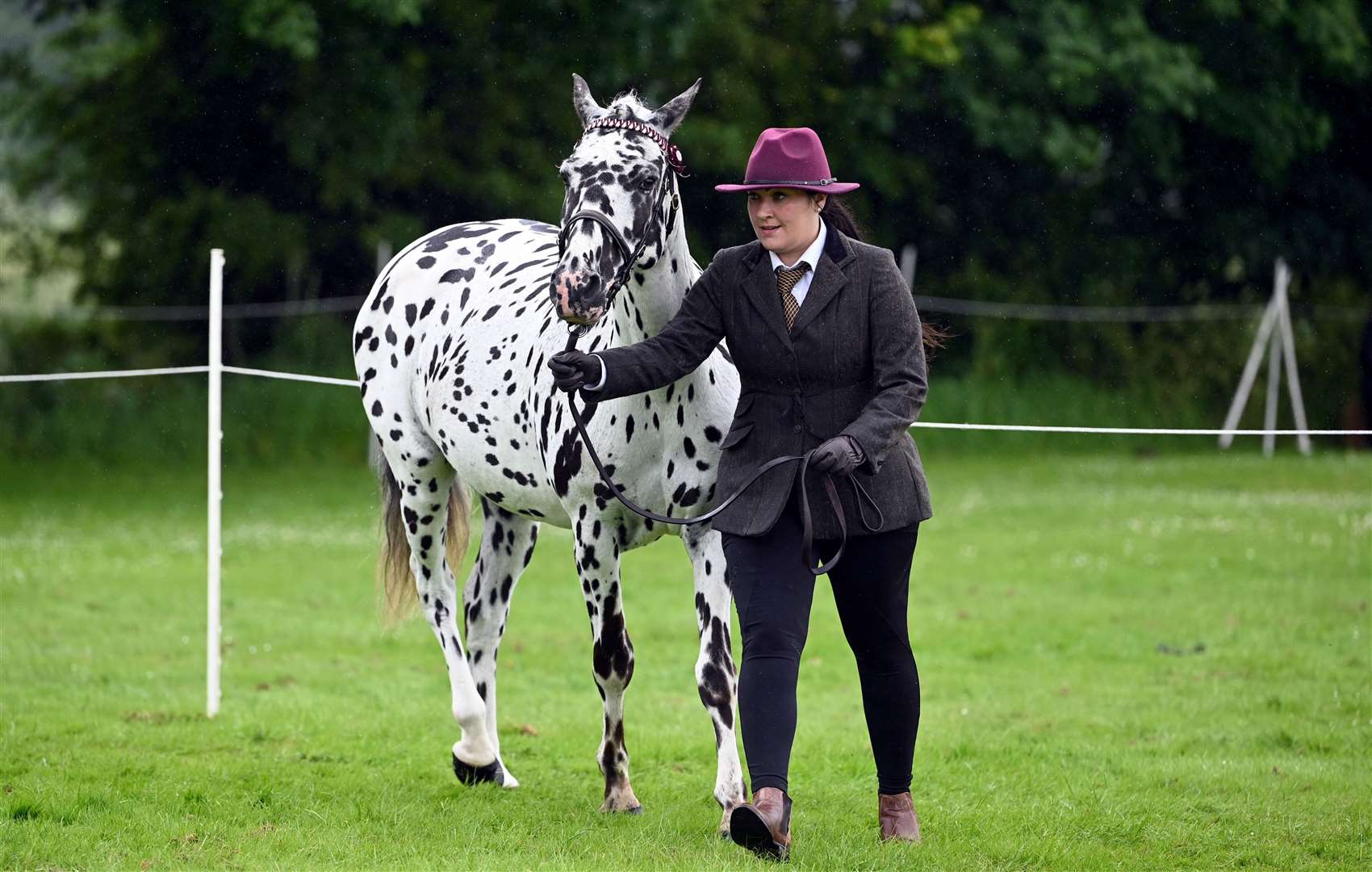 Gorefield Show Ella Rolfe