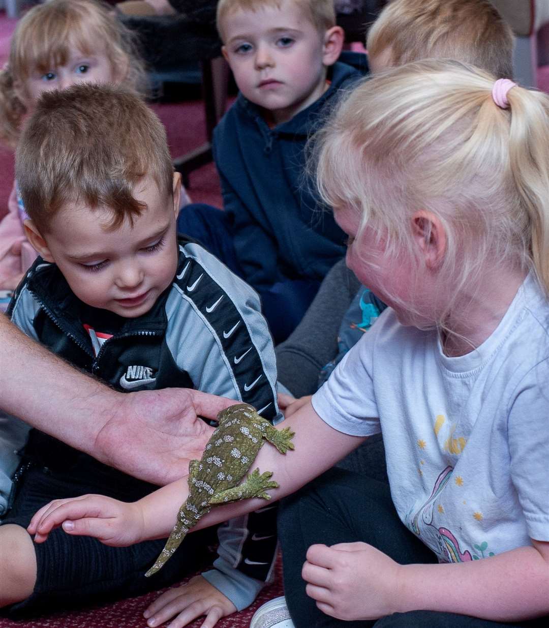 Lizards were among the animal visitors.