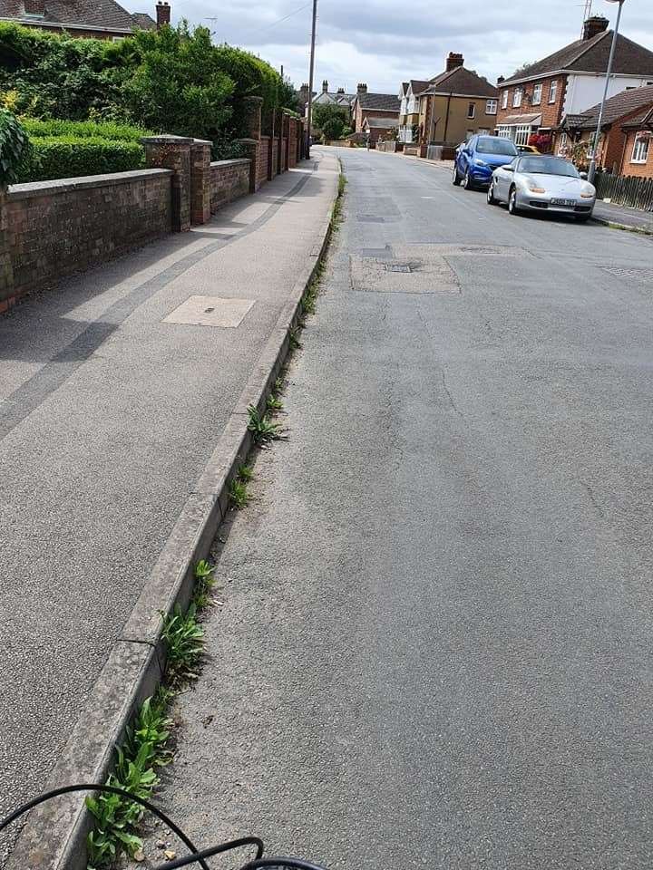 Joseph Beer, 15, has spent lockdown clearing areas in Chatteris that are overgrown and untidy, as well as cleaning road signs. (39931720)