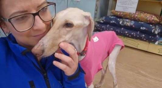 Peanut has developed a close bond with her carers at Block Fen RSPCA Rescue Centre. Picture: RSPCA