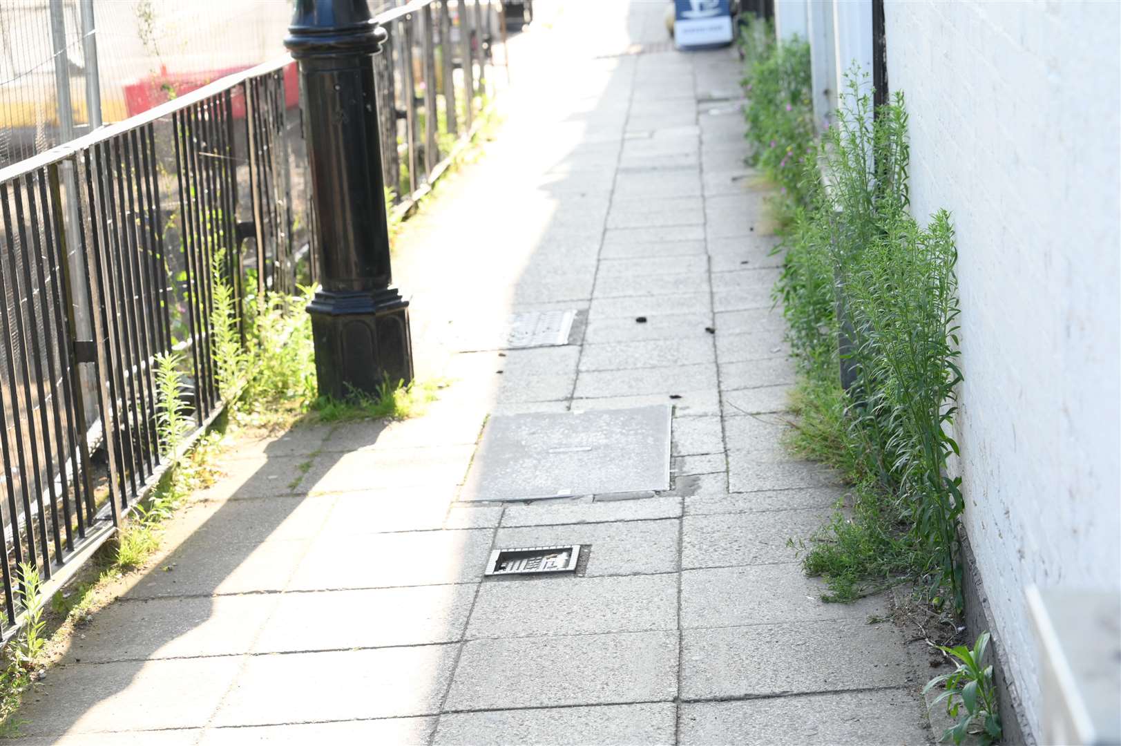 Weeds littering Dartford Road in March.