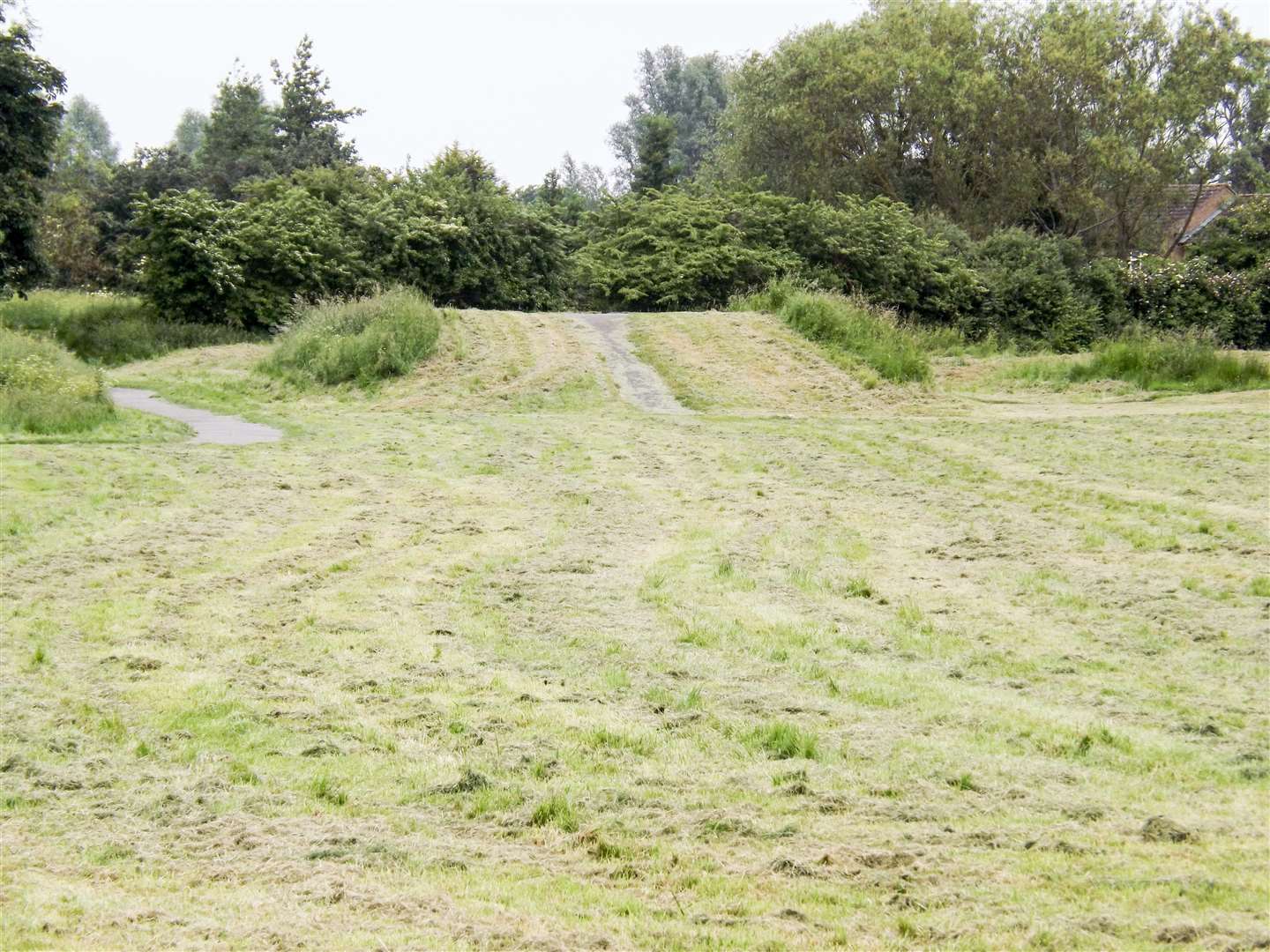 Grass has been cut in North Drive BMX play area - but areas have been missed and it looks a mess. (2440798)