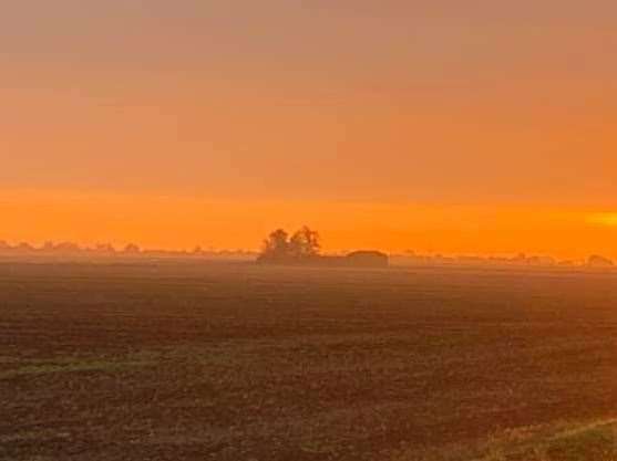 Emma Revell's picture of sunrise over Manea.