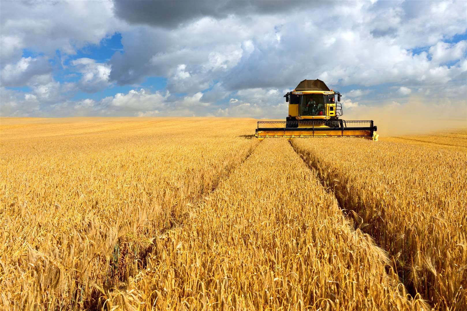 The insects are critical to crop production, say experts. Image: iStock.