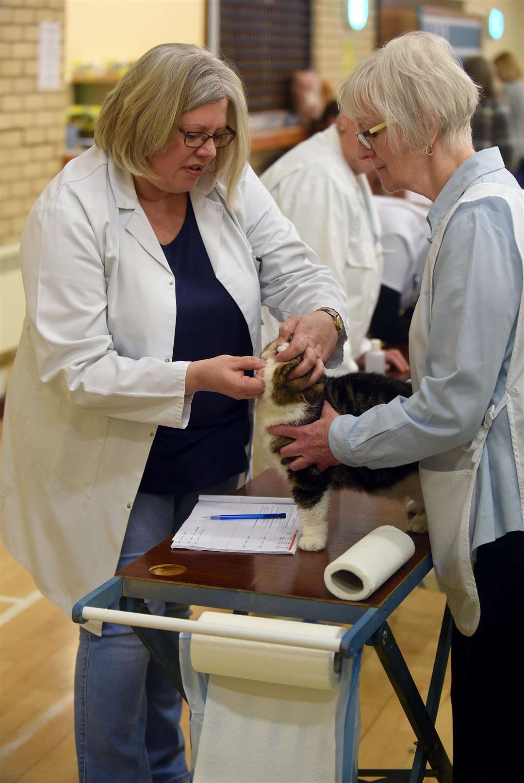 Cat Show at Tydd St Giles village hall....Sue Kirk and Julie Wilkinson. (6336592)