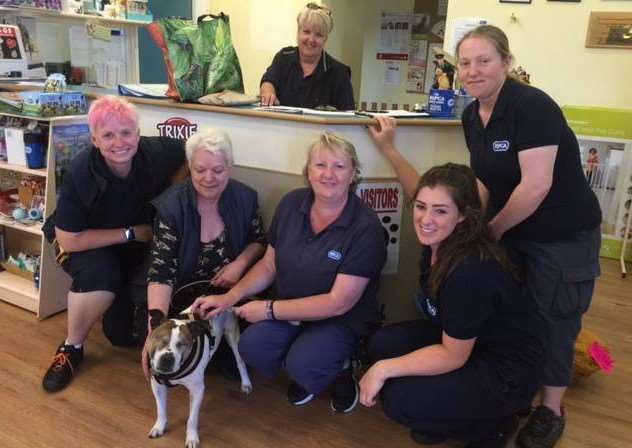 Pooch pictured with RSPCA staff and his new owner 3L6BolDEJRXziiEZm4iA