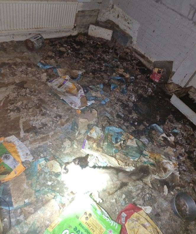 Post left at the address led officers to Shortell, who was living in Peterborough. Picture: Cambridgeshire police