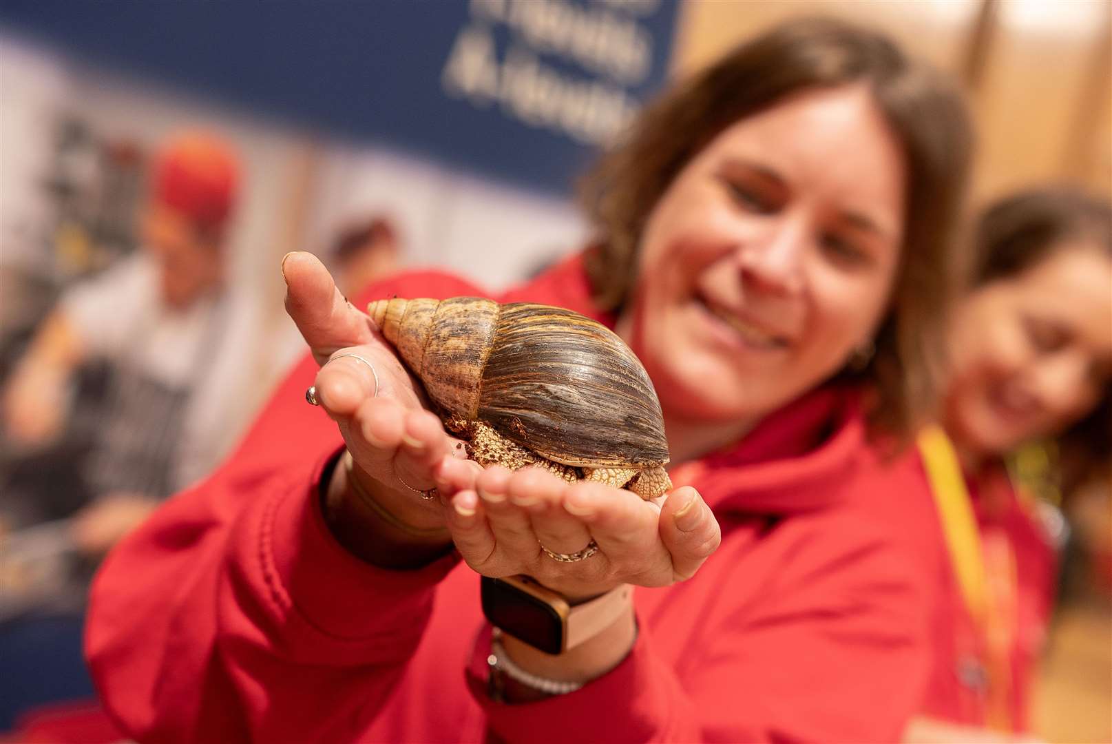 Kelly Kitchener holding the Giant African Land Snail. Picture credit: Ian Burt/Barking Dog Media