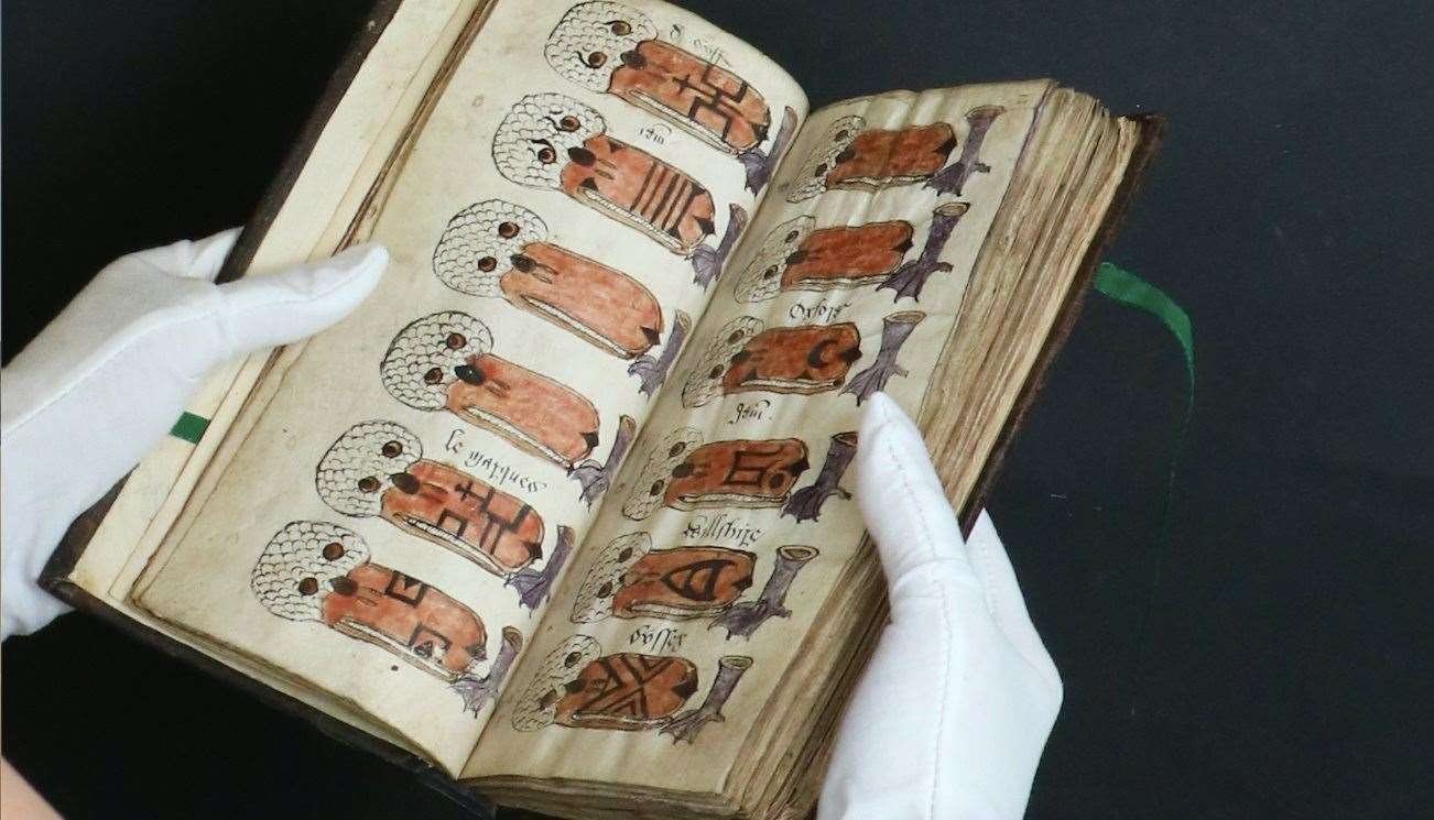 A rare Tudor manuscript designed to help with swan-keeping in the era when mute swans were owned by the English crown to be sold with an estimate of £8000- 16,000. Photo: Sworders.