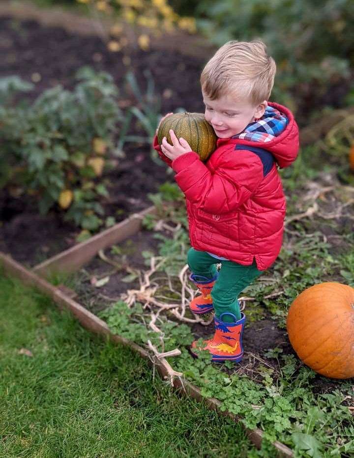 Families can learn the joys of growing their own and keep in touch with nature at the same time.