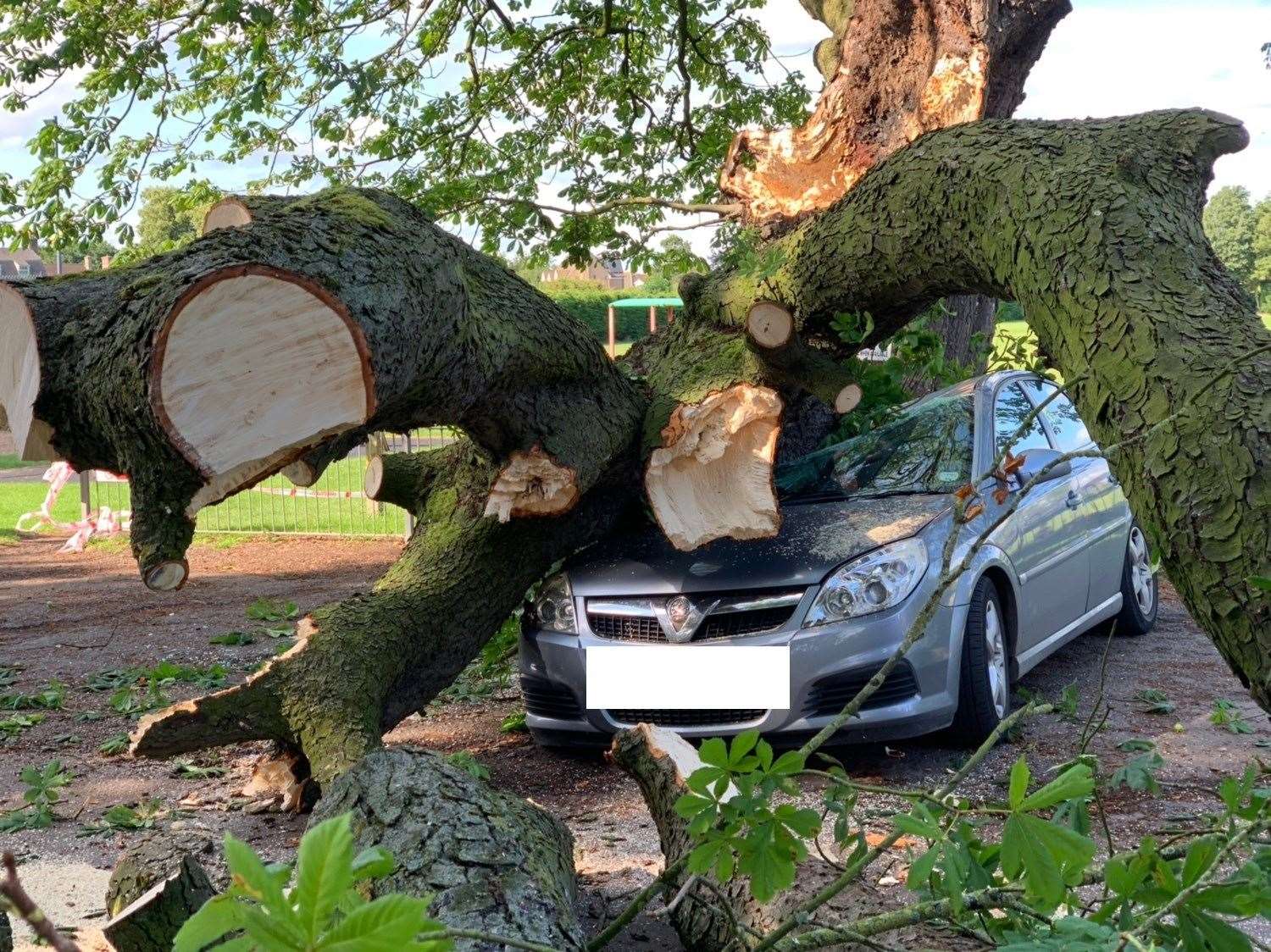 The massive branch crushed the parked car but the driver escaped with only minor injuries. (13826012)