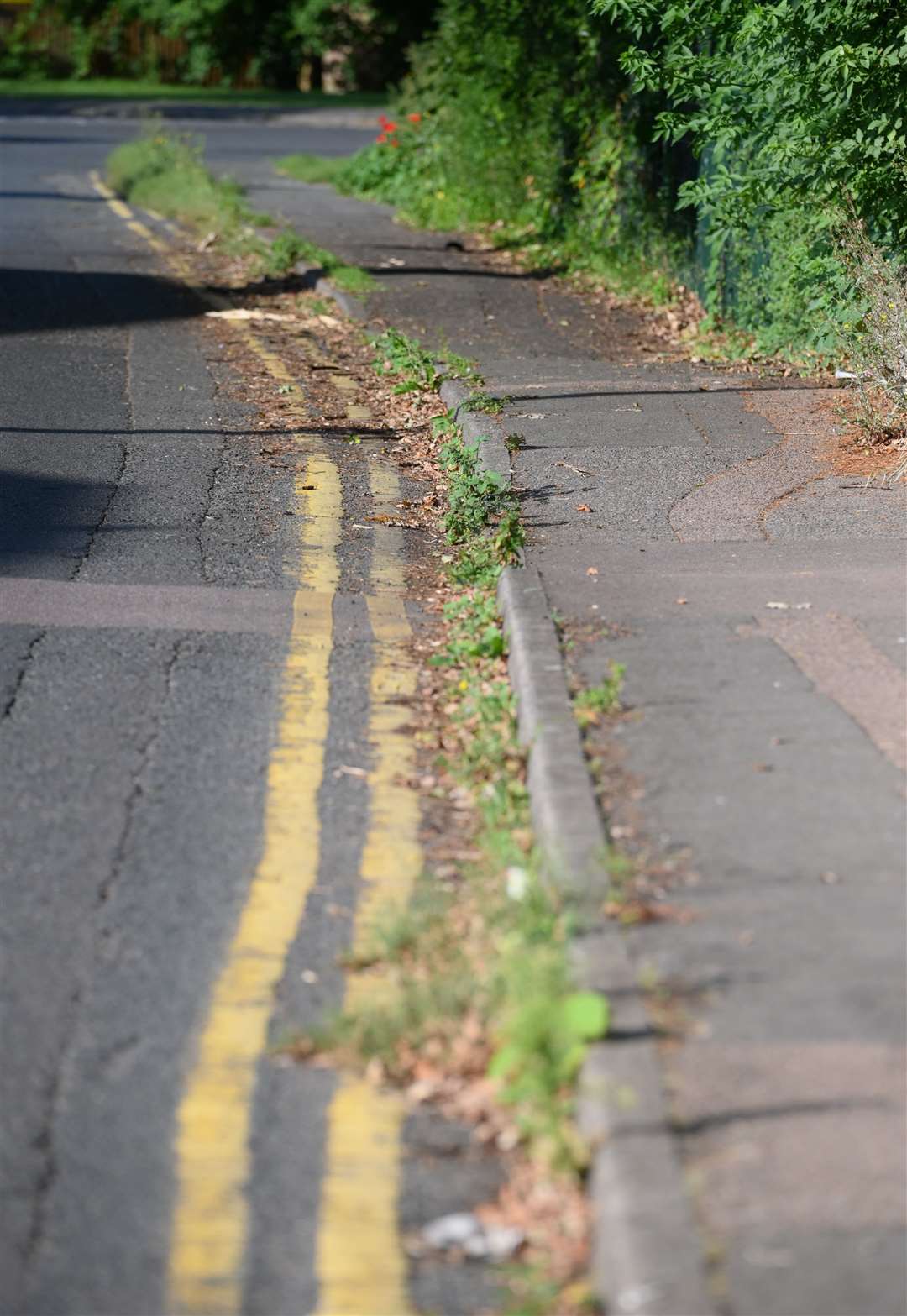 Somers Road in Wisbech was littered with weeds and the undergrowth was encroaching on the path last summer leading to complaints about the council’s no spray policy.